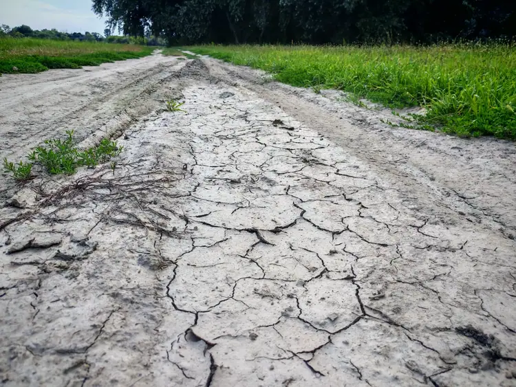 Kiszáradt, repedezett föld a földúton
